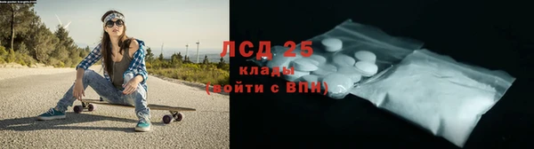 прущие крисы Аркадак