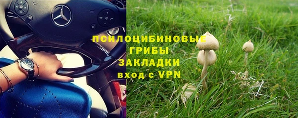 прущие крисы Аркадак